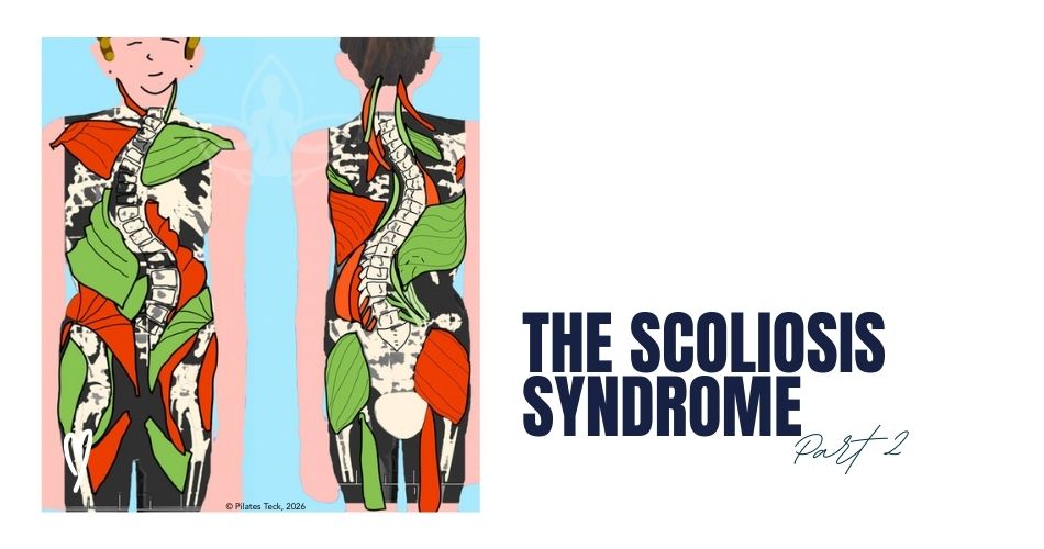 Illustrated front and back view of a figure showing muscle groups in orange and green with a highlighted spine, "The Scoliosis Syndrome Part 2" text beside it.